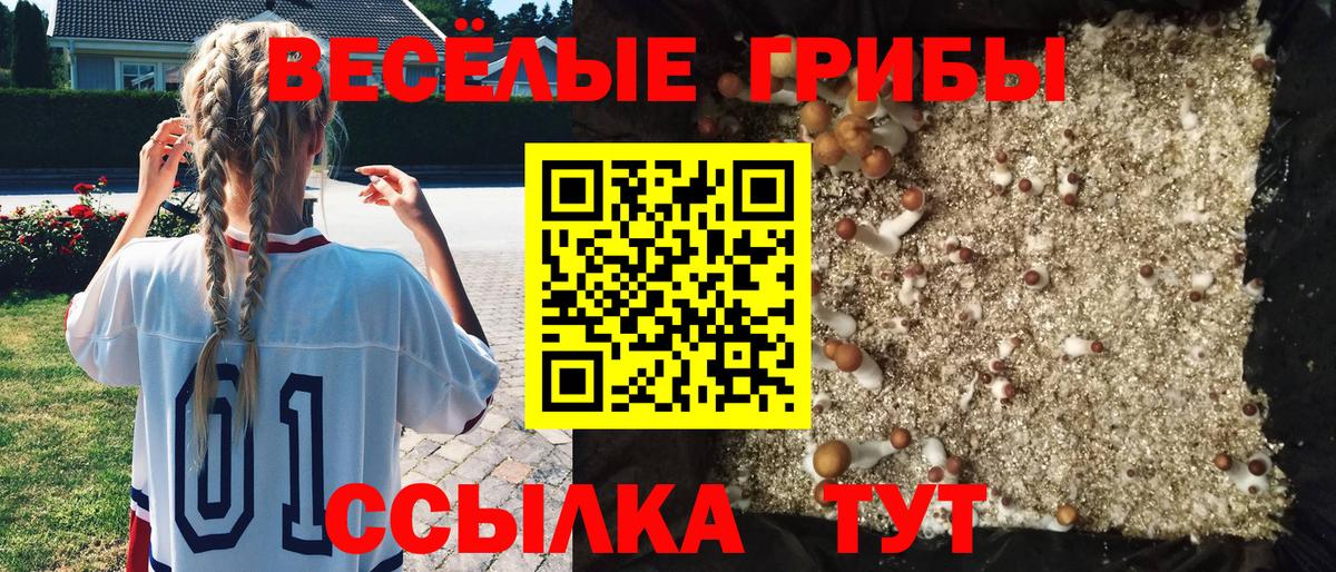 Галлюциногенные грибы MAGIC MUSHROOMS  Вход с VPN  Муром 